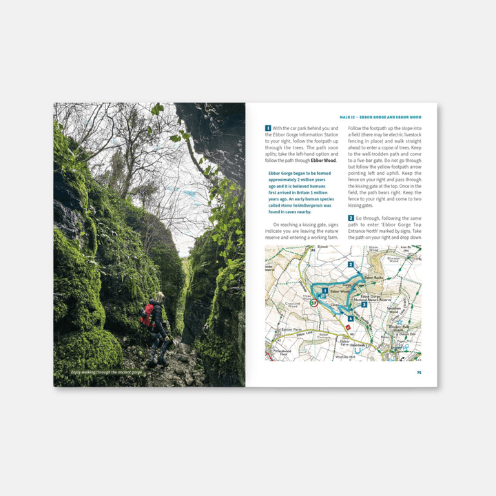 15 Short Walks: Cheddar & The Mendips