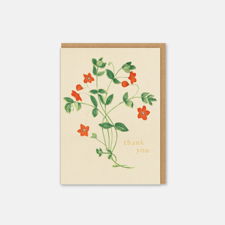 Among The Flowers Mini Greetings Card 6 Pack