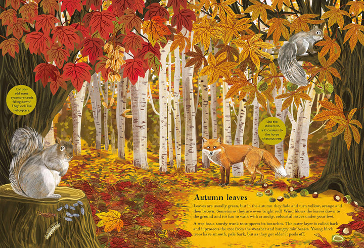Birch Trees, Bluebells and Other British Plants Sticker Book