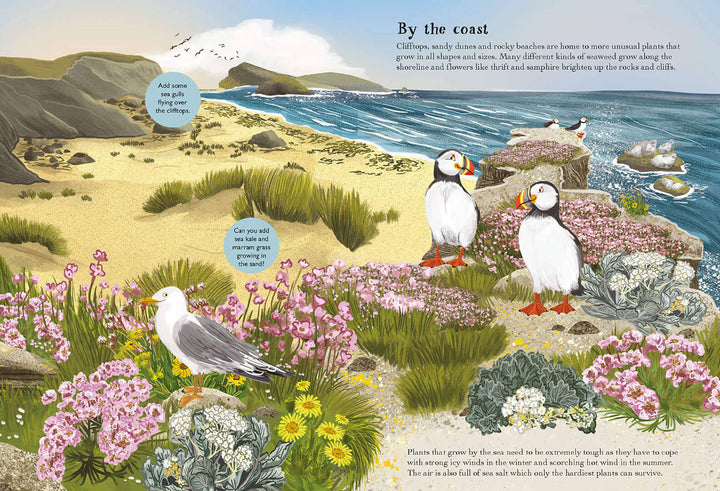 Birch Trees, Bluebells and Other British Plants Sticker Book