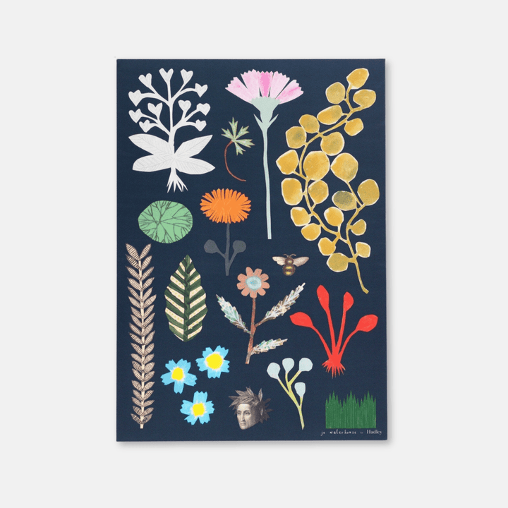 Botanical A3 Print