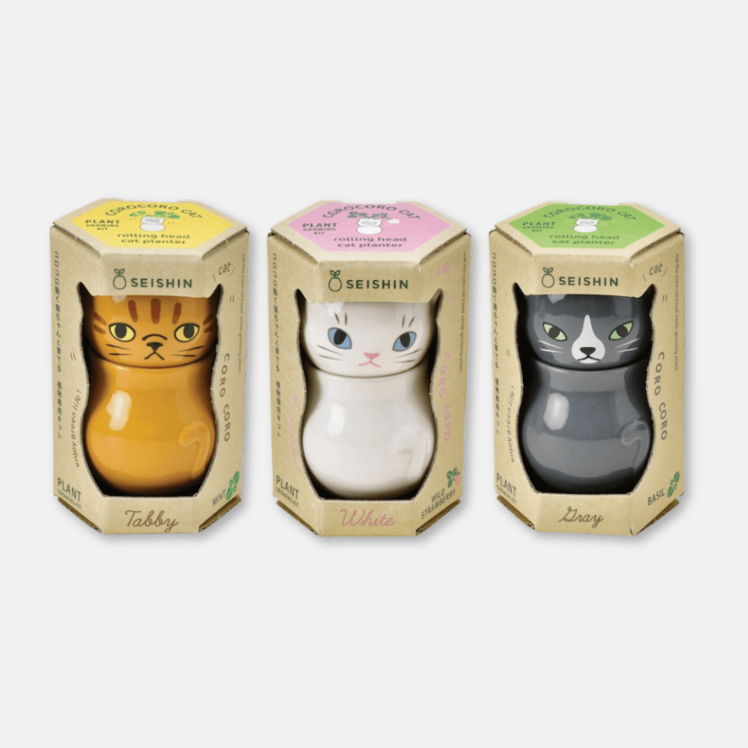 Corocoro Cat Herb Planter