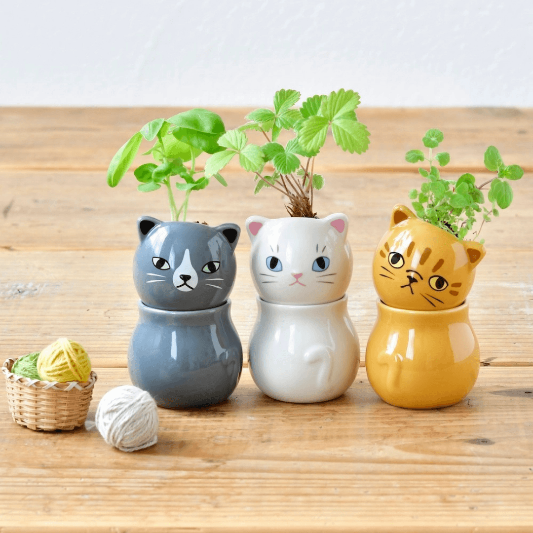 Corocoro Cat Herb Planter