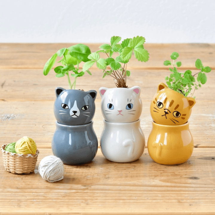 Corocoro Cat Herb Planter