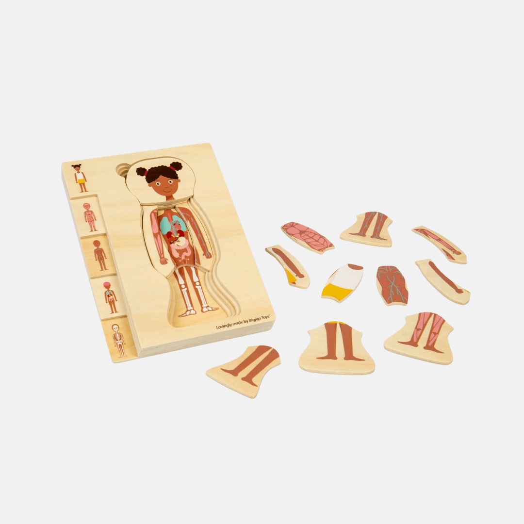 Wooden Anatomy Puzzles