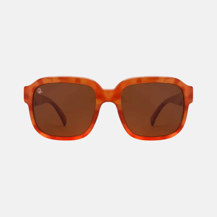 Honey Tortoiseshell Pedro Sunglasses