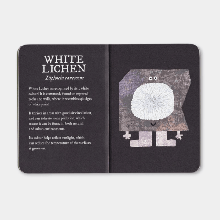 Lichen