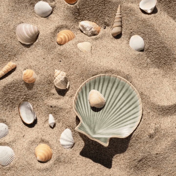 Stoneware Shell Dishes