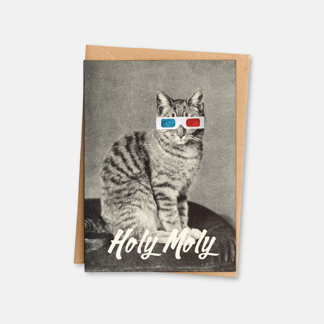 Holy Moly 3D Cat Greetings Card