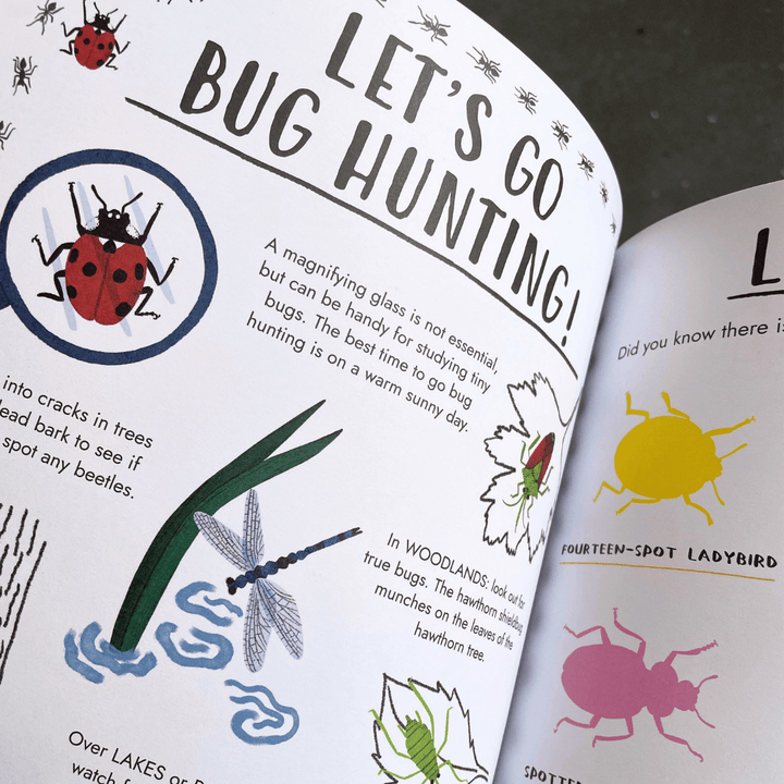 Hello Summer: A Sticker Activity Nature Guide
