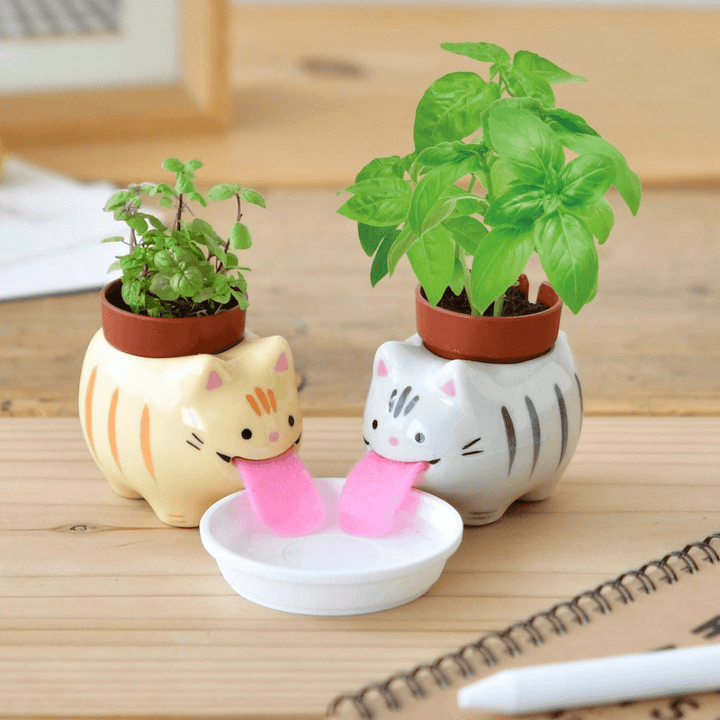 Peropon Licking Cat Herb Planter