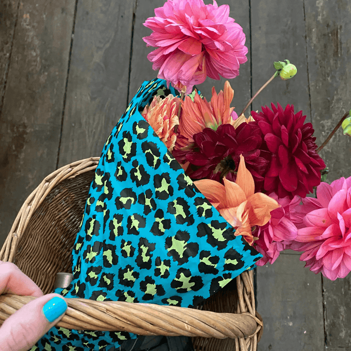 Leopard Apple & Jade Luxury Tissue Paper Pack