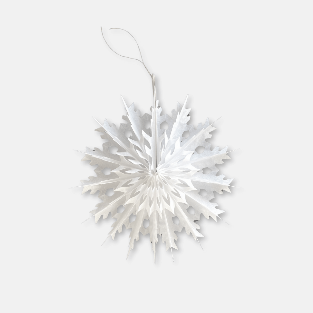 Paper Snowflake Decoration