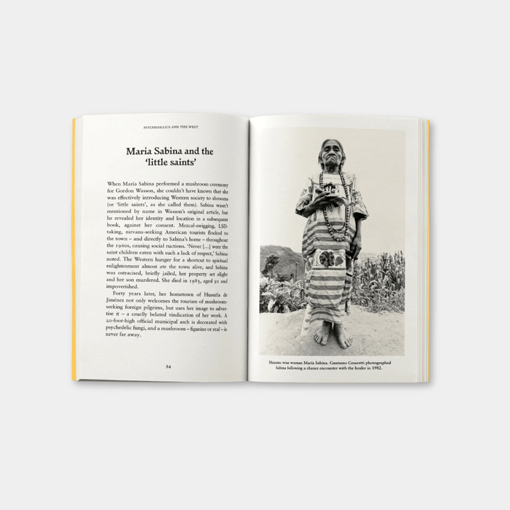 Psychedelics: A Pocket Primer