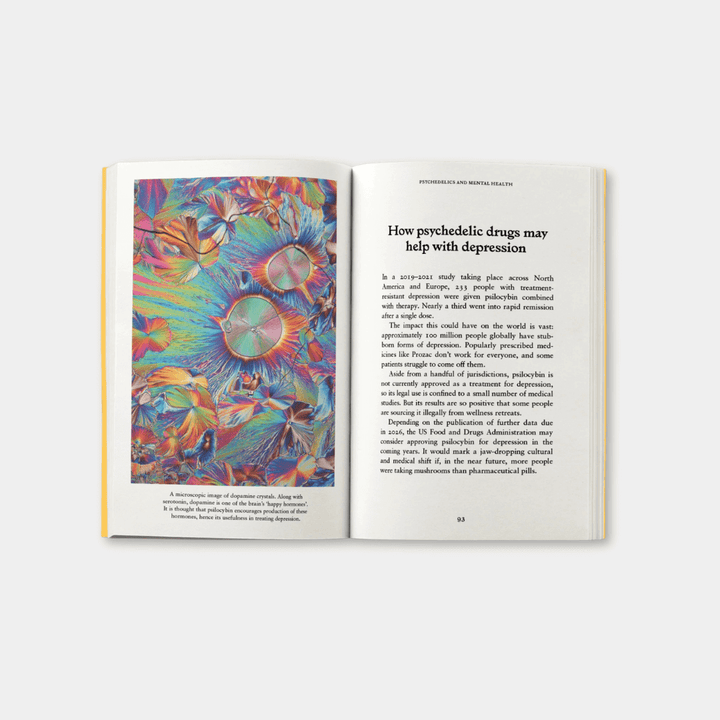 Psychedelics: A Pocket Primer