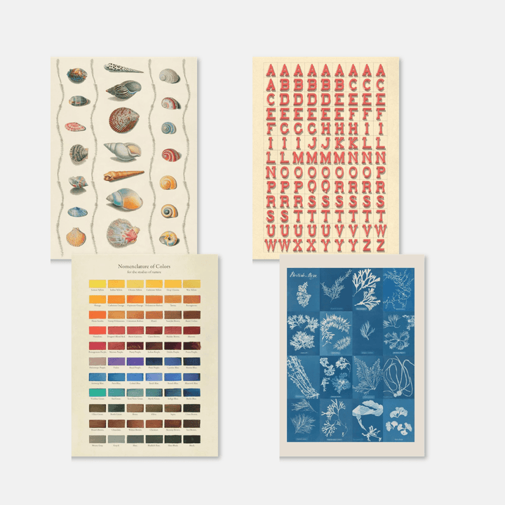 The Collage Compendium: 2000 Images to Cut Out & Collage