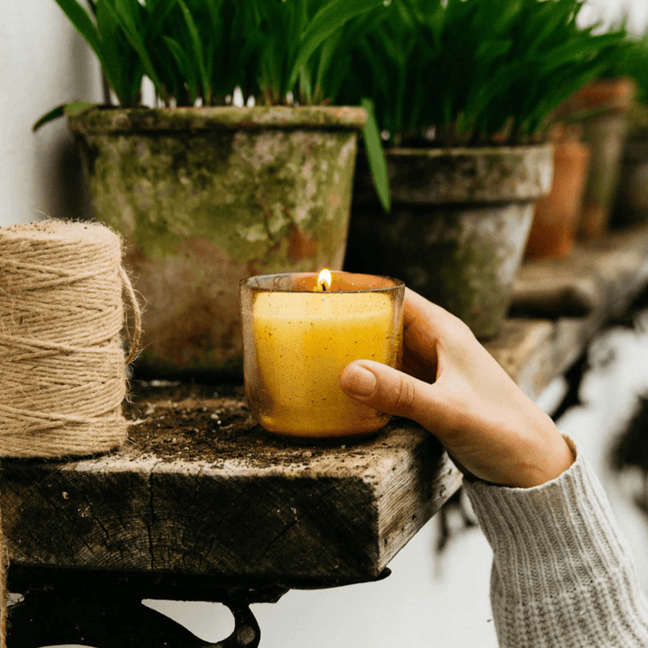 Sea Garden Ginger & Lemongrass Glass Candle