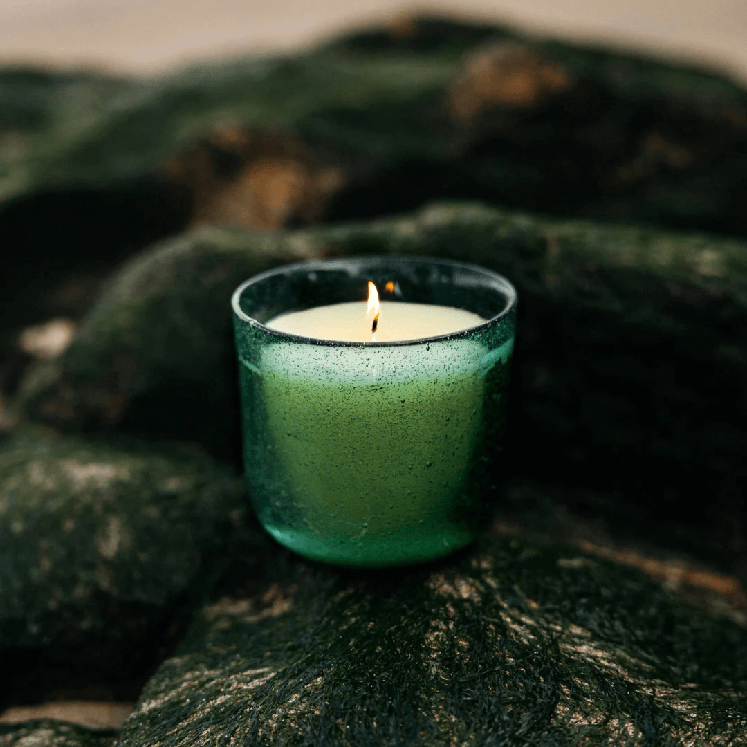 Sea Garden Sea Moss & Driftwood Glass Candle