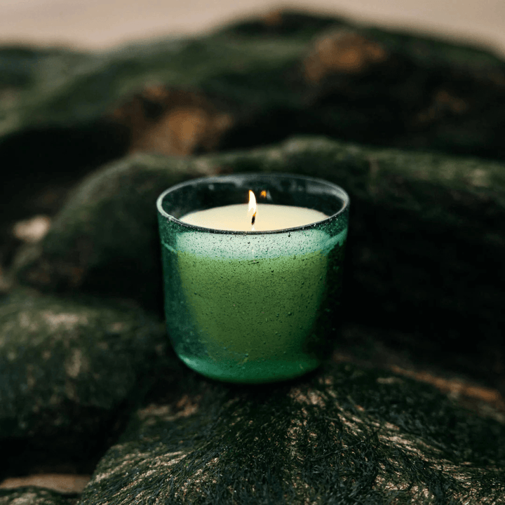 Sea Garden Sea Moss & Driftwood Glass Candle