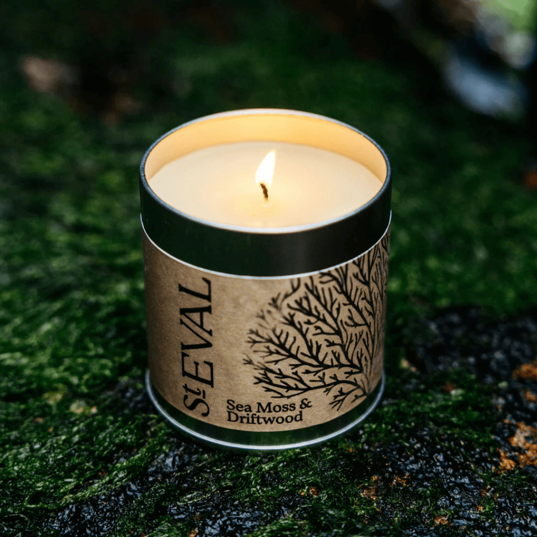 Sea Moss & Driftwood Tin Candle