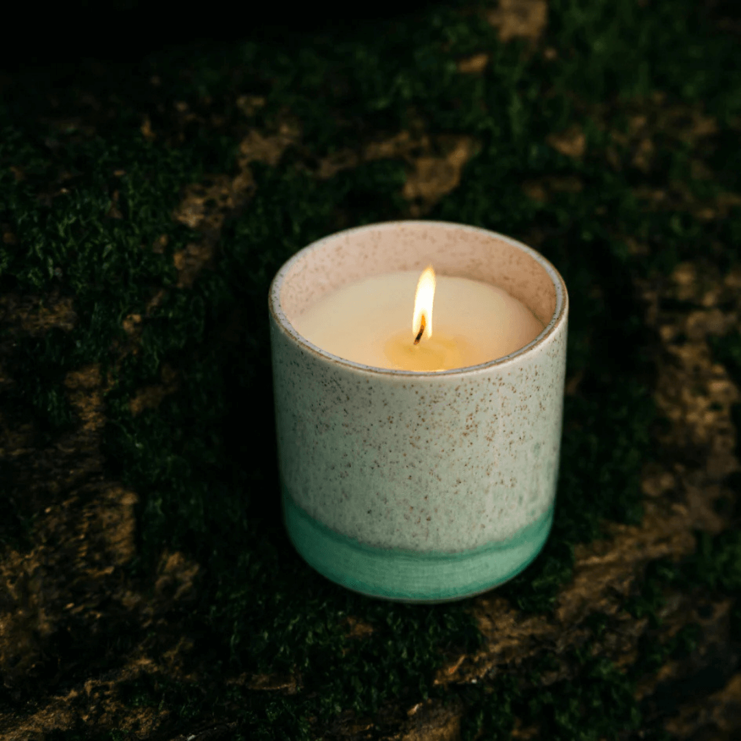 Sea & Shore Fig Tree Pot Candle